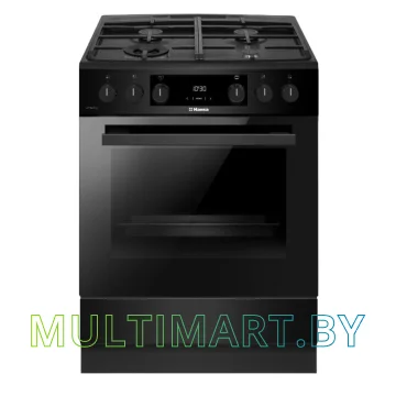 Плита газоэлектрическая Hansa FCMM693291